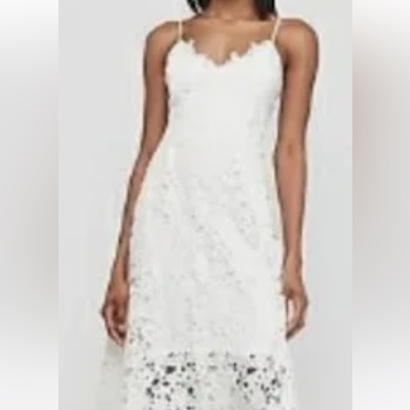 Express Floral Lace MIDI Dress - Picture 1 of 12